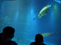 IMG20250903183711