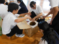 DSCN5788
