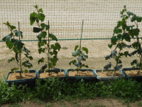 DSCN0326