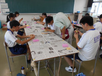 DSCN5817