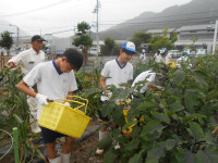 DSCN5832