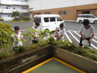 DSCN6388
