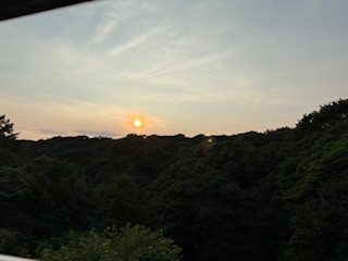 IMG_5555