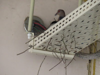 s-IMG_4068