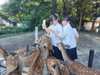 IMG20250902163541