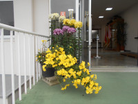 DSCN2644 - コピー