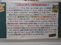 DSCN6854