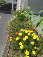 DSCN0242